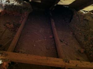 Attic Water Damage